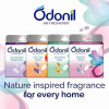 Odonil cube 50g